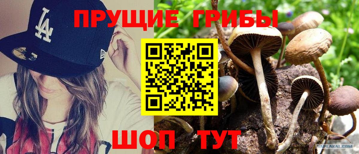 Галлюциногенные грибы мицелий  Вход с VPN  Самара 